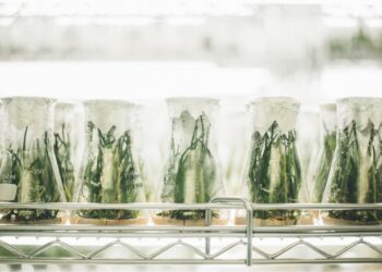 Photo by CHUTTERSNAP on Unsplash