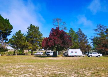 Photo by Alexa Soh on Unsplash