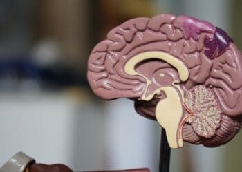 Photo by Robina Weermeijer on Unsplash