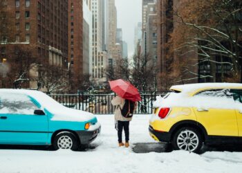 Photo by Austin Scherbarth on Unsplash