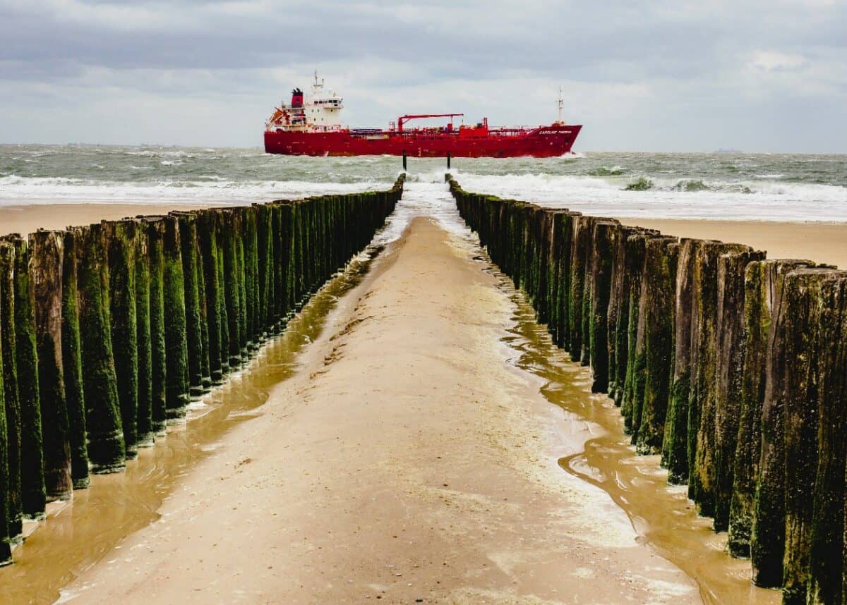 Photo by Alexander Schimmeck on Unsplash