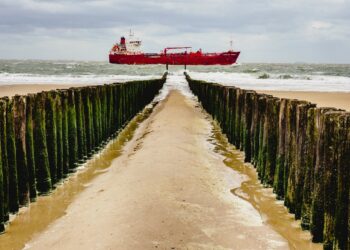 Photo by Alexander Schimmeck on Unsplash