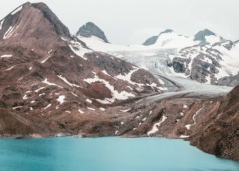 Photo by Martin Adams on Unsplash