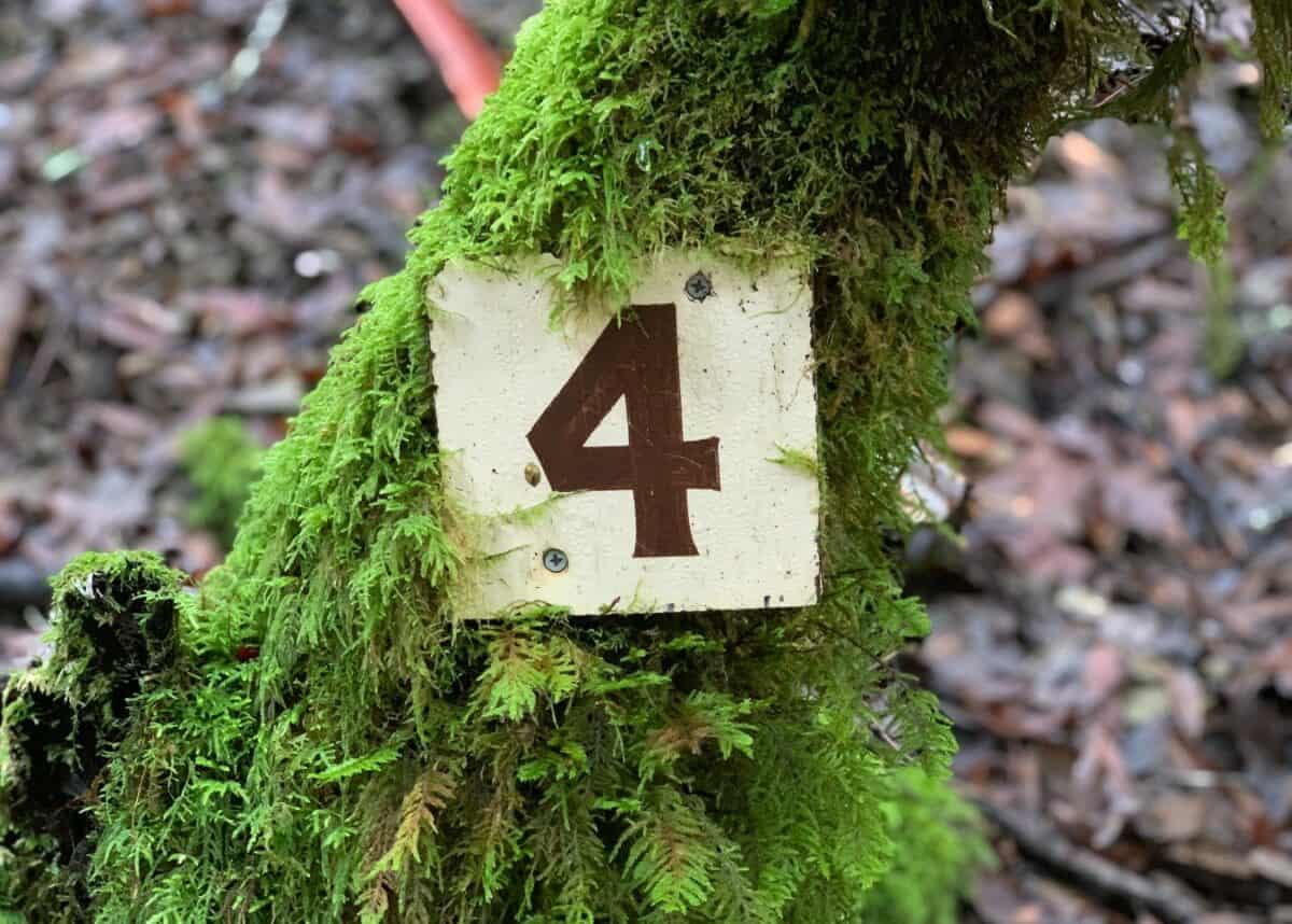 Photo by Sri Jalasutram on Unsplash