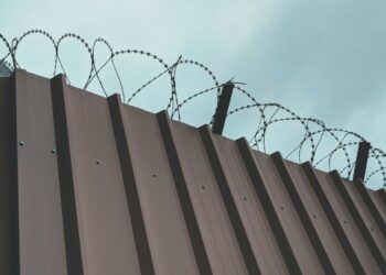 Photo by Sigmund on Unsplash