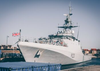 Photo by Andy Holmes on Unsplash