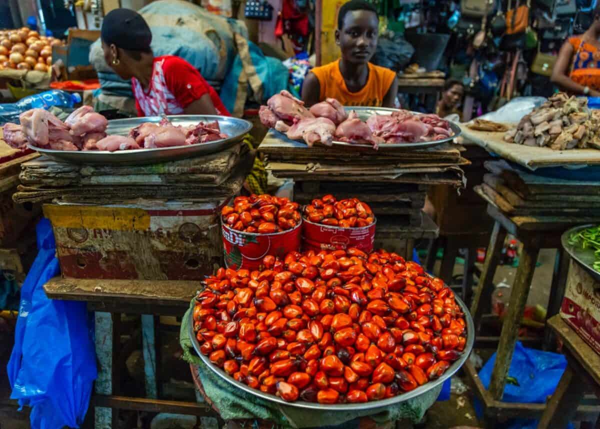 Photo by Eva Blue on Unsplash