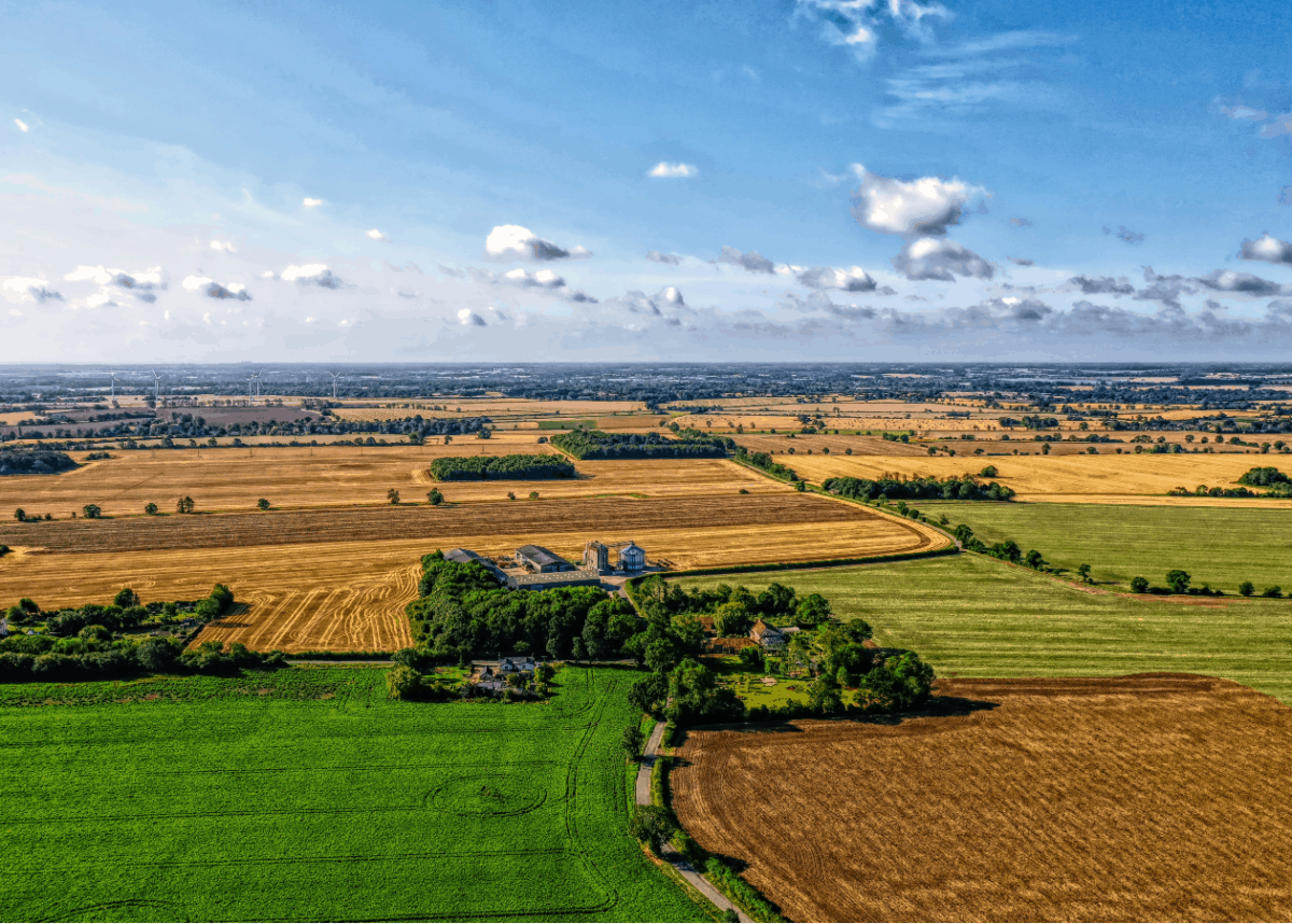 Photo by Niklas Weiss on Unsplash