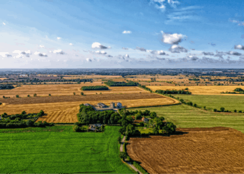 Photo by Niklas Weiss on Unsplash