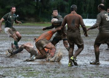 Photo by Quino Al on Unsplash