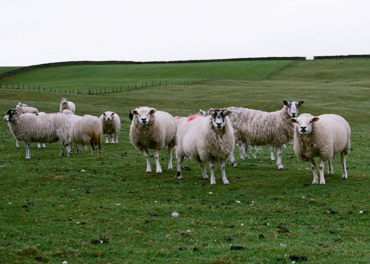 Photo by Jakob Cotton on Unsplash