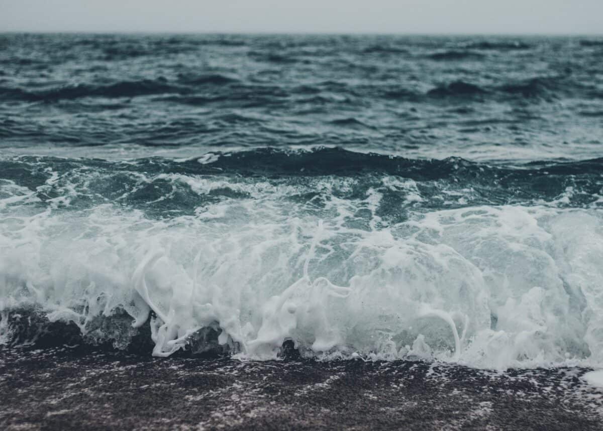 Photo by Cody Fitzgerald on Unsplash