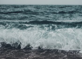 Photo by Cody Fitzgerald on Unsplash