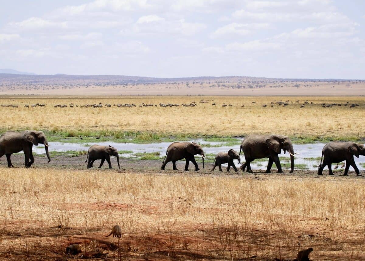 Photo by ray rui on Unsplash