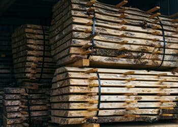 Photo by Sarah Worth on Unsplash