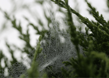 Photo by michael podger on Unsplash