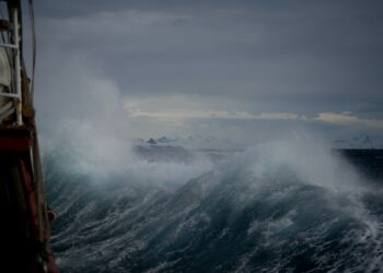 Photo by Torsten Dederichs on Unsplash