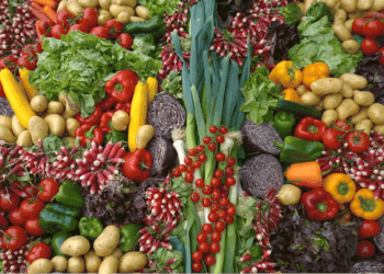 Photo by Chantal Garnier on Unsplash