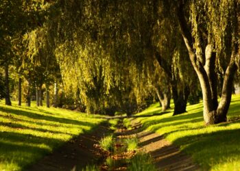 Photo by Fiona Clyde on Unsplash