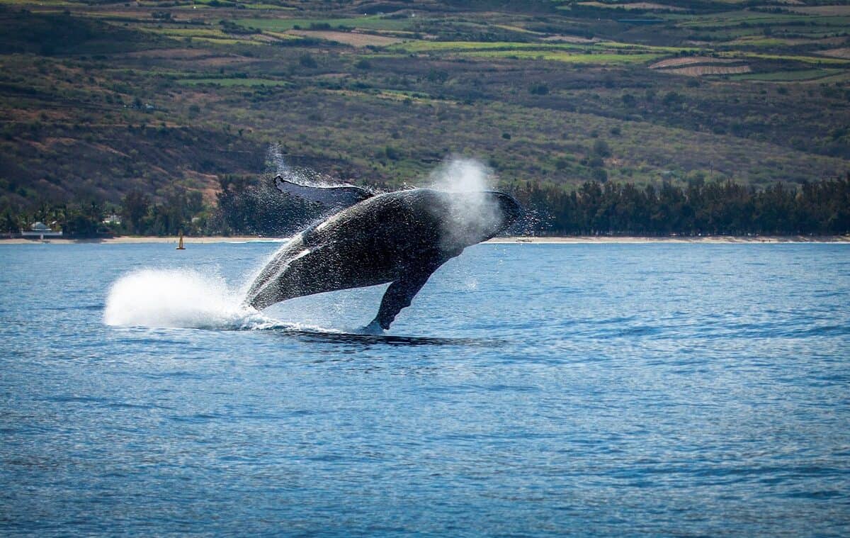 Photo by Rémi Boudousquié on Unsplash