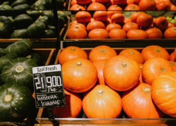 Photo by Devi Puspita Amartha Yahya on Unsplash