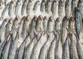 Photo by Johen Redman on Unsplash