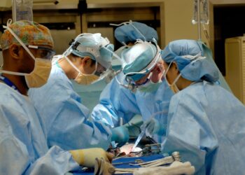 Photo by National Cancer Institute on Unsplash