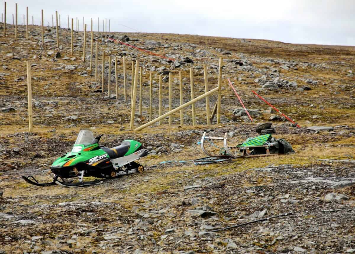 Photo by Mark König on Unsplash