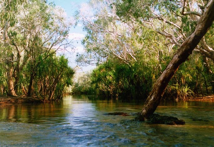 A scene in remote Arnhem Land in the Northern Territory. Photo credit: Glen Dillon via Wikipedia