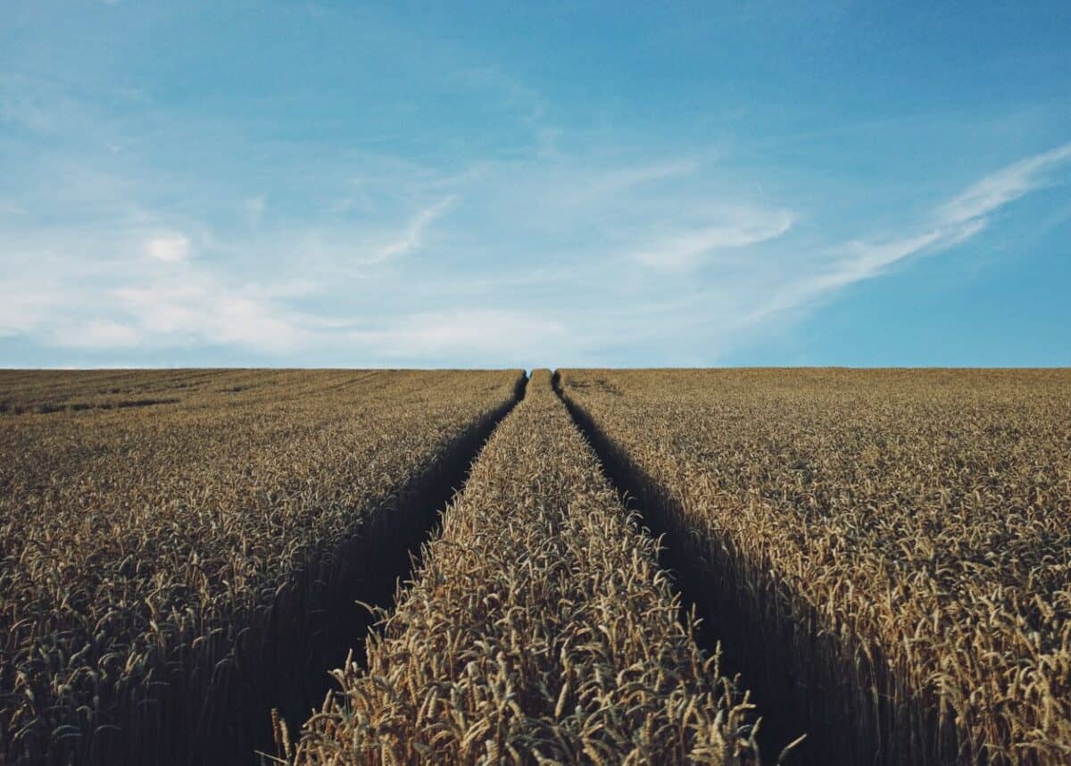 Photo by Rasmus Landgreen on Unsplash