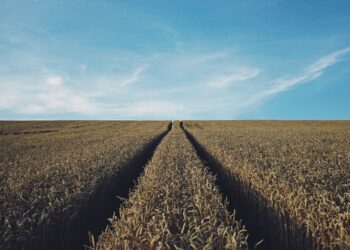 Photo by Rasmus Landgreen on Unsplash