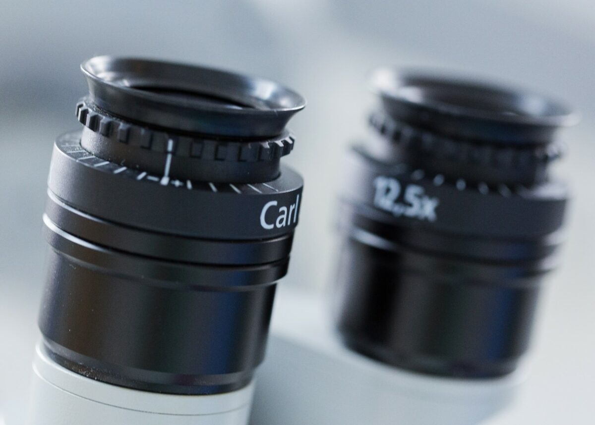 Photo by Brands&People on Unsplash