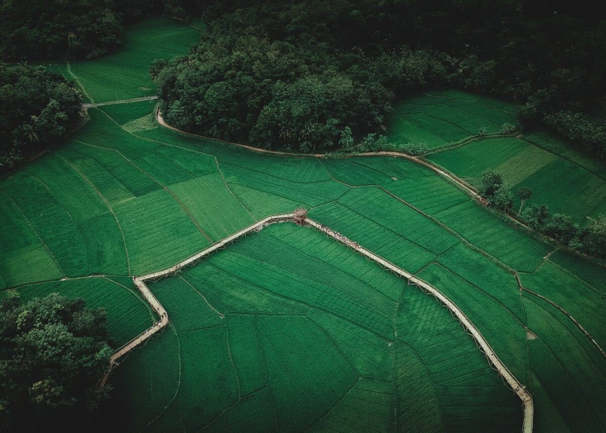 Photo by Iswanto Arif on Unsplash