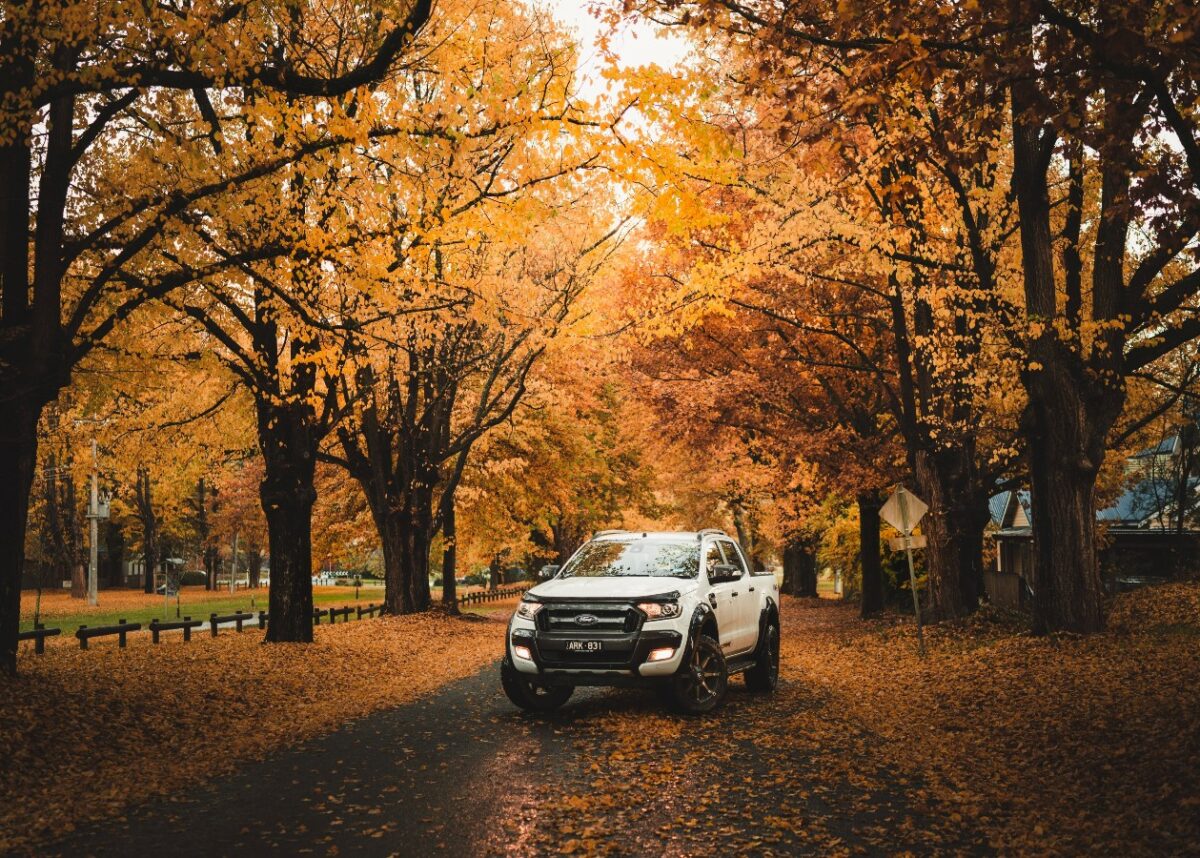 Photo by Eerik Sandstrom on Unsplash