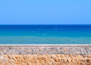 Photo by Just Daisy on Unsplash