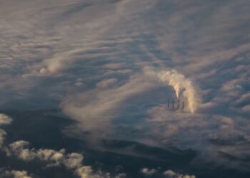 Photo by Nik Shuliahin on Unsplash