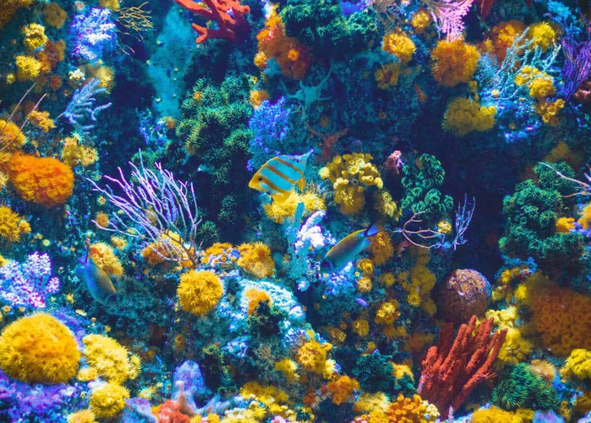 Photo by Shaun Low on Unsplash