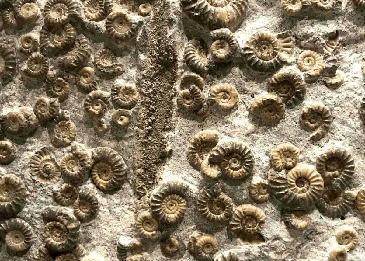 Photo by Gabi Scott on Unsplash