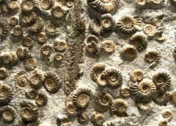 Photo by Gabi Scott on Unsplash