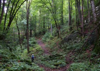 Photo by Evelin Tomić on Unsplash