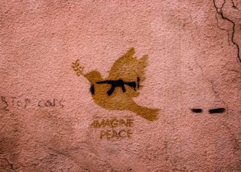 Photo by Zaur Ibrahimov on Unsplash