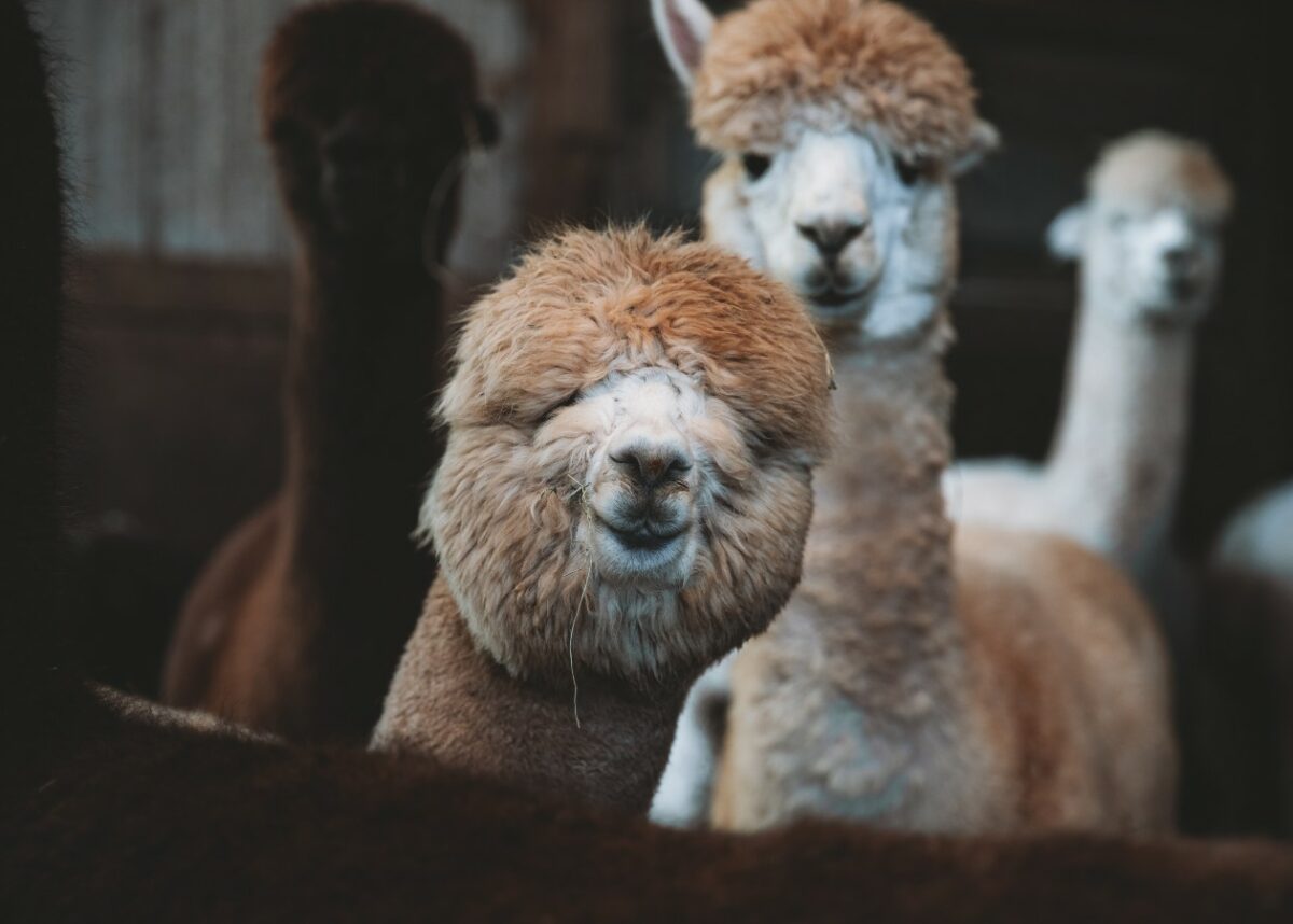 Photo by Edgar MORAN on Unsplash