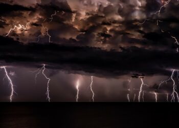 Photo by Josep Castells on Unsplash