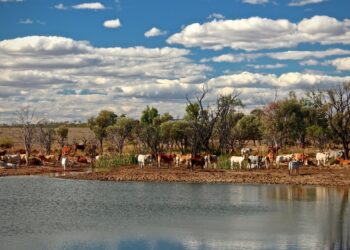 Photo by Tobias Keller on Unsplash