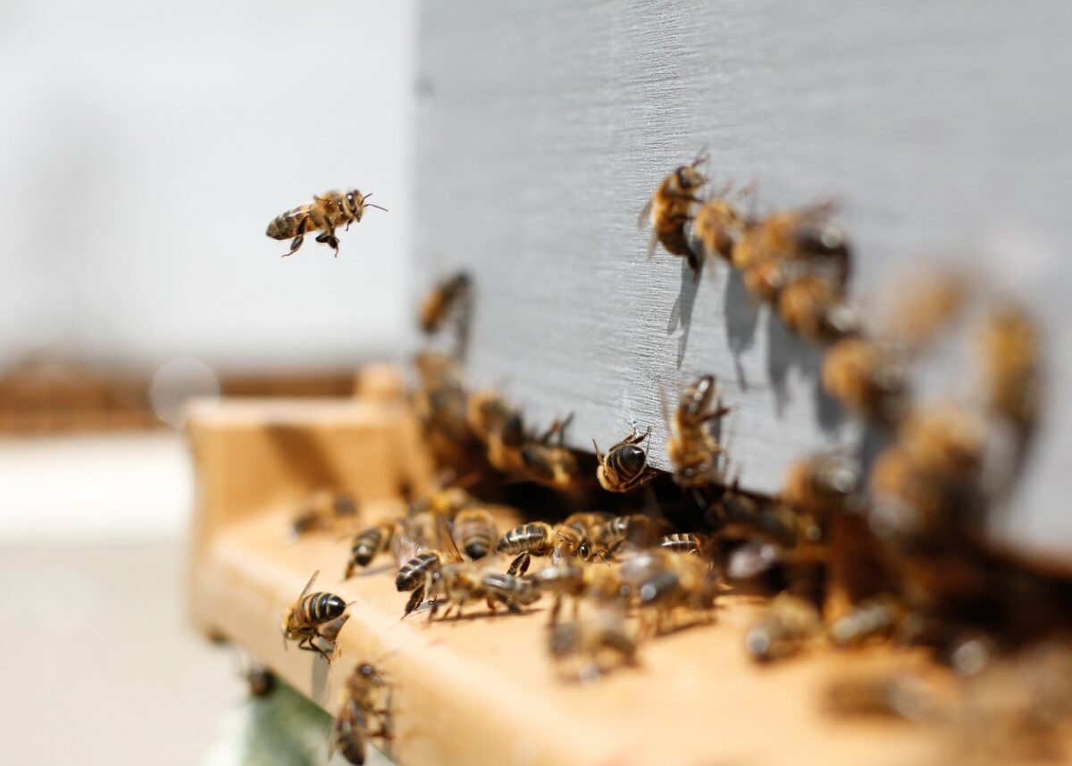 Photo by Damien TUPINIER on Unsplash