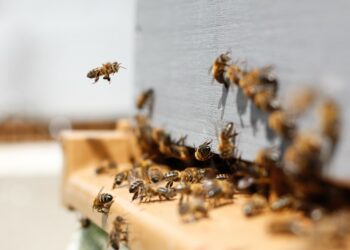 Photo by Damien TUPINIER on Unsplash