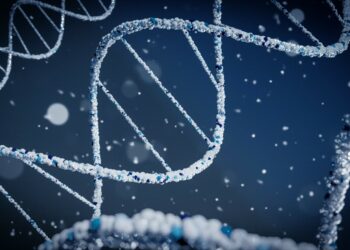 Photo by Braňo on Unsplash