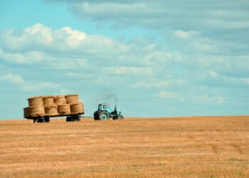 Photo by Gozha Net on Unsplash