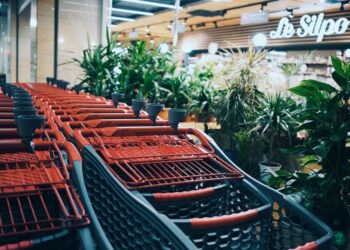 Photo by Veronika Koroleva on Unsplash