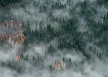 Photo by JOHN TOWNER on Unsplash